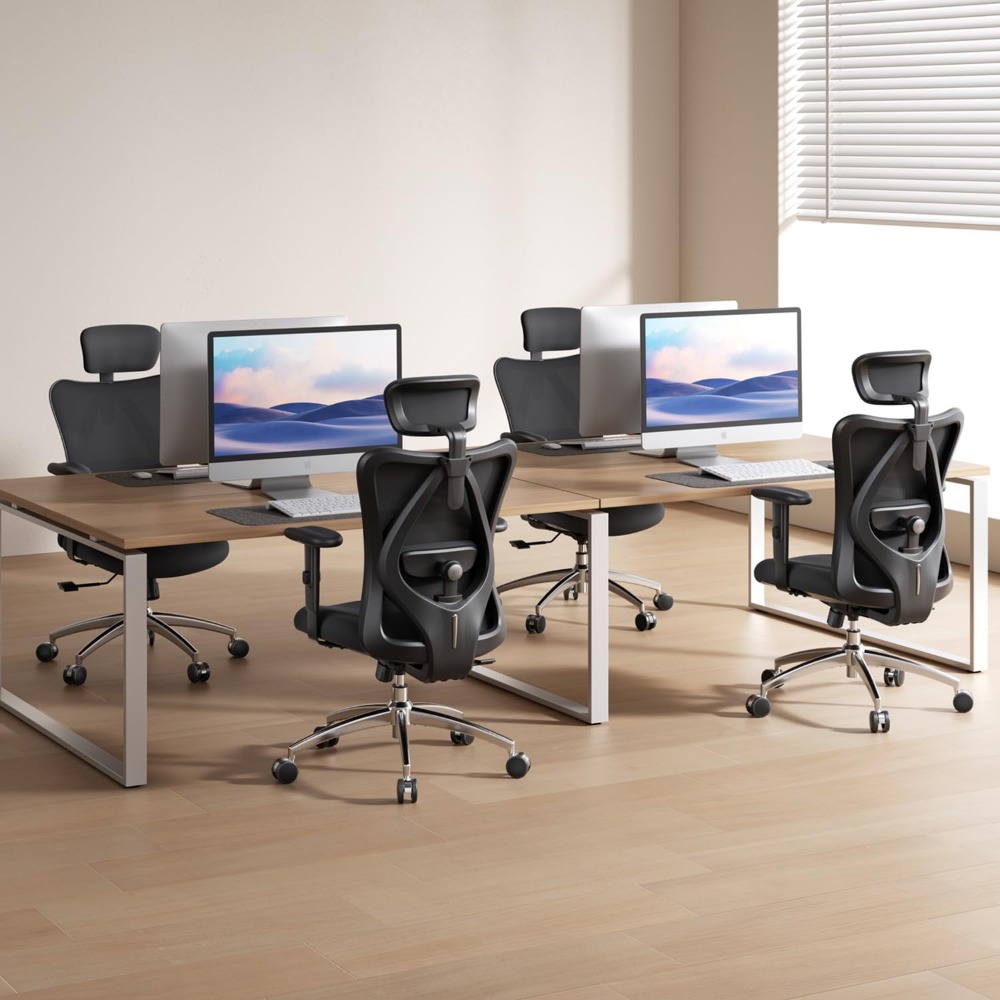 인체공학적 메쉬 데스크 의자, 조절 가능한 요추 지지대 - Home Office Desks 리뷰 및 가격
