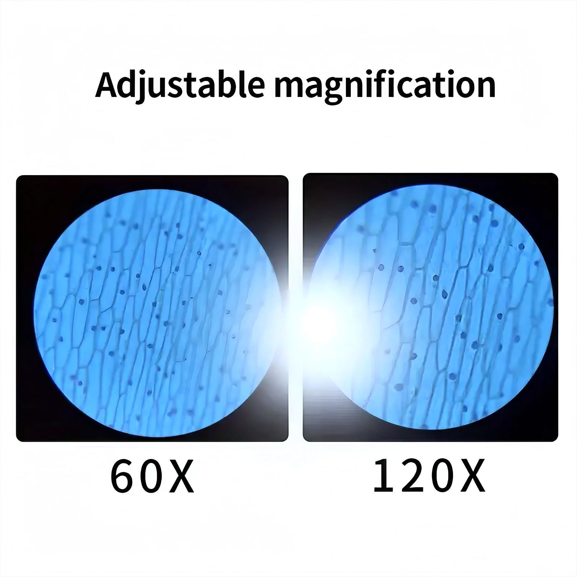 어린이 현미경 포켓 현미경 60x-120x LED 눈  - Zoom Lighting Kit 리뷰 및 가격